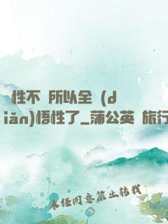 屬性不夠所以全點(diǎn)悟性了