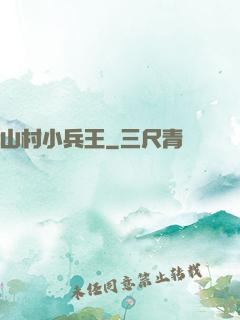 山村小兵王