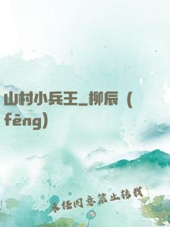 山村小兵王