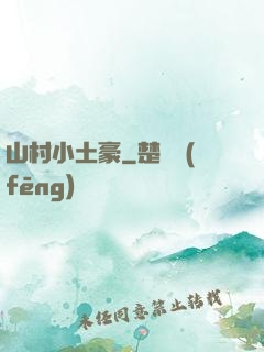 山村小土豪