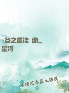 峽谷之最佳輔助