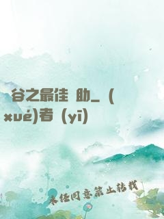 峽谷之最佳輔助