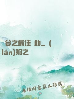 峽谷之最佳輔助