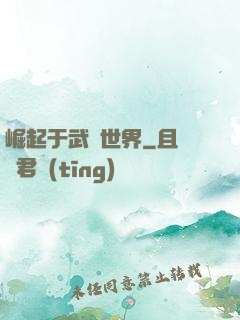 崛起于武俠世界