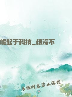 崛起于科技