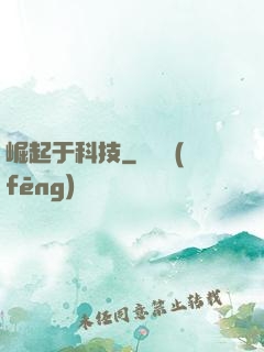 崛起于科技