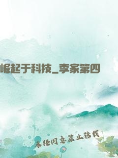 崛起于科技
