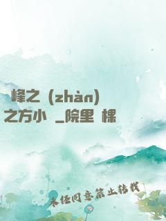 巔峰之戰(zhàn)之方小曉