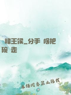巔峰王侯