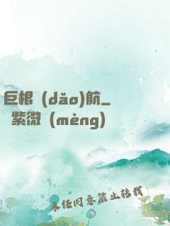 巨根導(dǎo)航