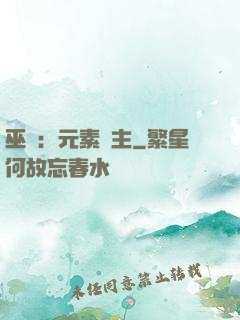 巫師：元素領主