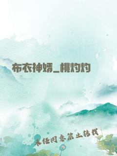 布衣神婿