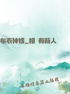 布衣神婿