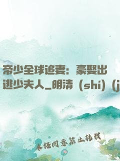 帝少全球追妻：豪娶出逃少夫人