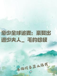 帝少全球追妻：豪娶出逃少夫人