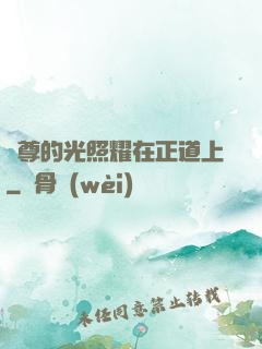 師尊的光照耀在正道上