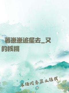 帶著崽崽追星去