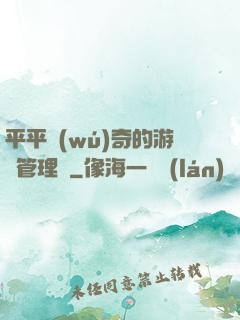 平平無(wú)奇的游戲管理員