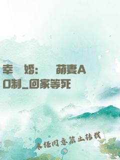 幸運閃婚：寶貝萌妻AO制