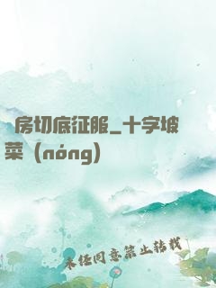 廚房切底征服