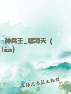 廚神兵王