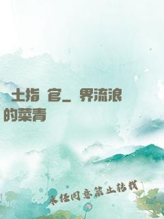 廢土指揮官