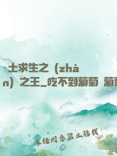 廢土求生之戰(zhàn)爭之王