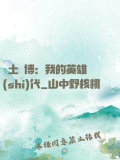 廢土賽博：我的英雄時(shí)代
