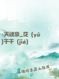 弒天魂帝