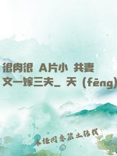 很肉很黃A片小說共妻文一嫁三夫