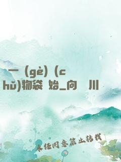從一個(gè)儲(chǔ)物袋開始