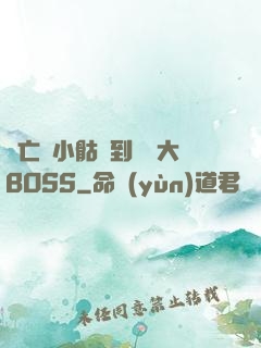從亡靈小骷髏到終極大BOSS