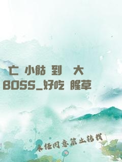 從亡靈小骷髏到終極大BOSS