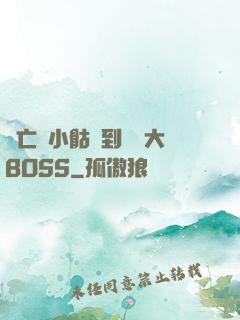 從亡靈小骷髏到終極大BOSS