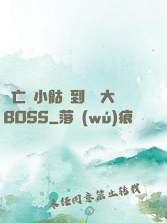 從亡靈小骷髏到終極大BOSS
