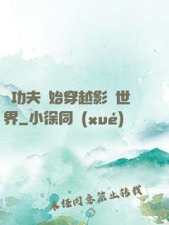 從功夫開始穿越影視世界