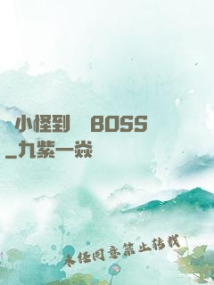 從小怪到無敵BOSS