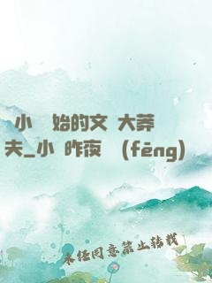 從小說開始的文娛大莽夫