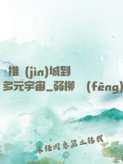 從推進(jìn)城到多元宇宙
