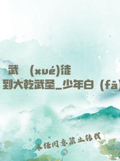 從武館學(xué)徒到大乾武圣