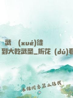 從武館學(xué)徒到大乾武圣