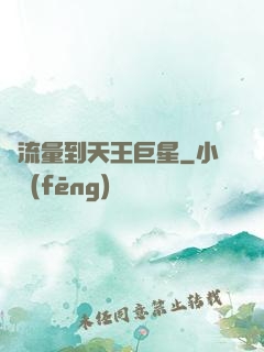 從流量到天王巨星