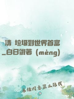 從清掃垃圾到世界首富