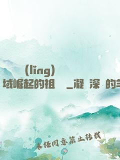 從無敵領(lǐng)域崛起的祖師爺