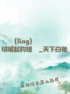 從無敵領(lǐng)域崛起的祖師爺