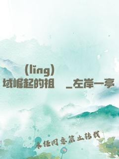 從無敵領(lǐng)域崛起的祖師爺