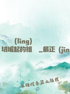從無敵領(lǐng)域崛起的祖師爺