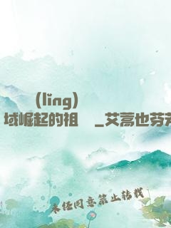 從無敵領(lǐng)域崛起的祖師爺