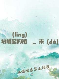 從無敵領(lǐng)域崛起的祖師爺