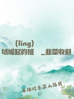 從無敵領(lǐng)域崛起的祖師爺